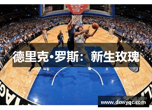 德里克·罗斯：新生玫瑰