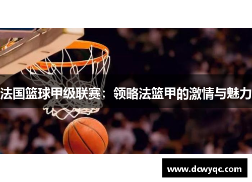 法国篮球甲级联赛:领略法篮甲的激情与魅力 法国篮球甲级联赛:领略法篮甲的激情与魅力