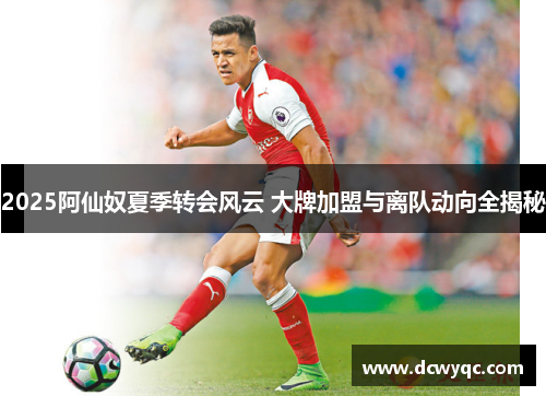 2025阿仙奴夏季转会风云 大牌加盟与离队动向全揭秘 2025阿仙奴夏季转会风云 大牌加盟与离队动向全揭秘